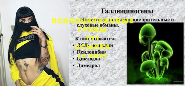 экстази Арсеньев