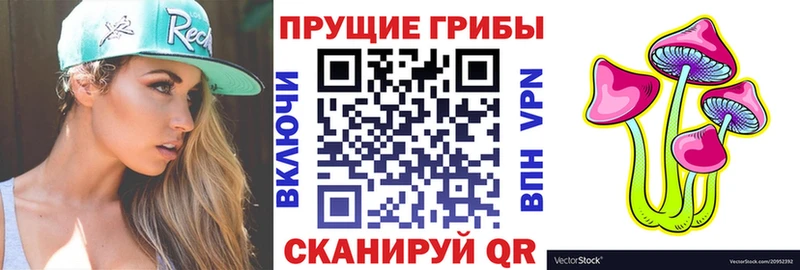 Галлюциногенные грибы Magic Shrooms  дарк нет наркотические препараты  Михайлов 